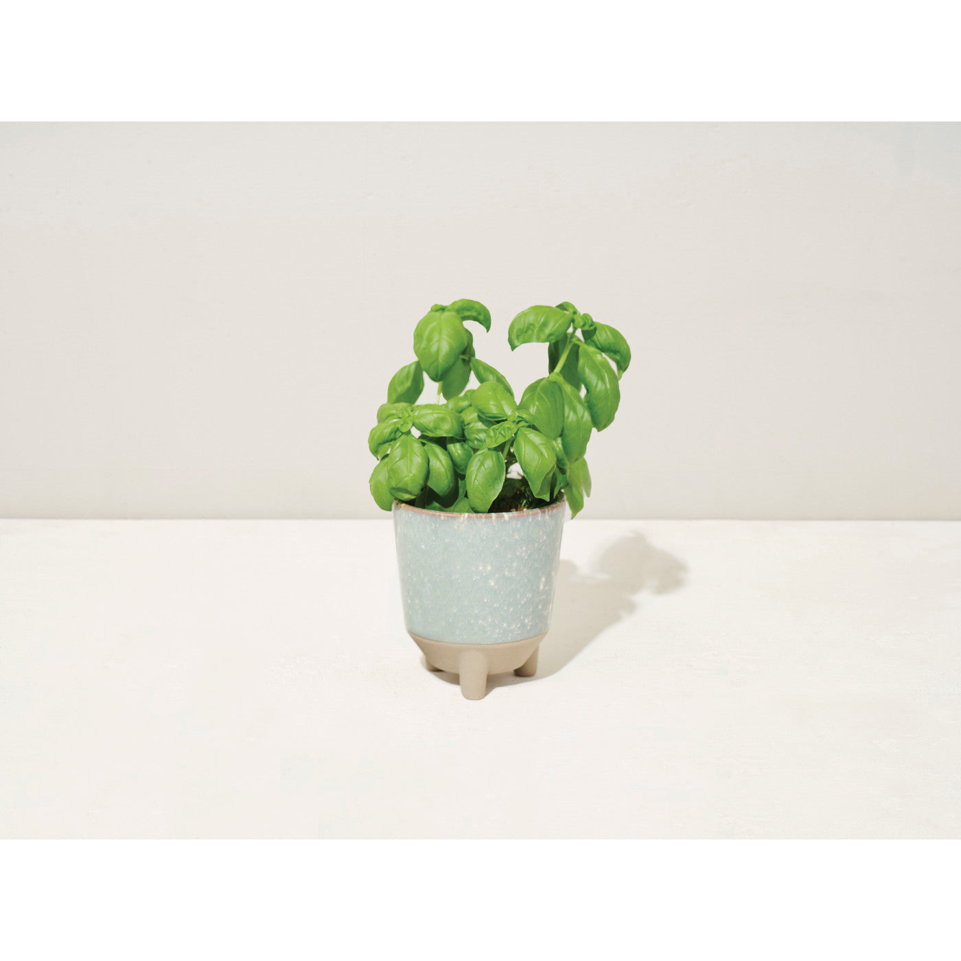 Modern Sprout® Glow & Grow Live Well Gift Set