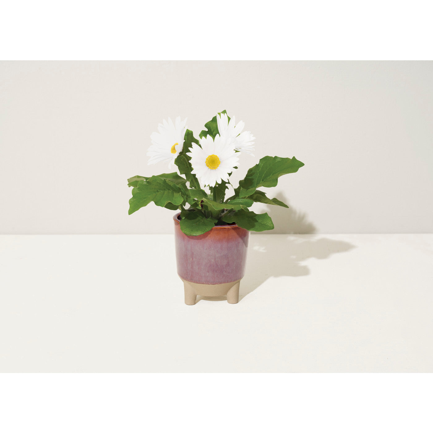 Modern Sprout® Glow & Grow Live Well Gift Set