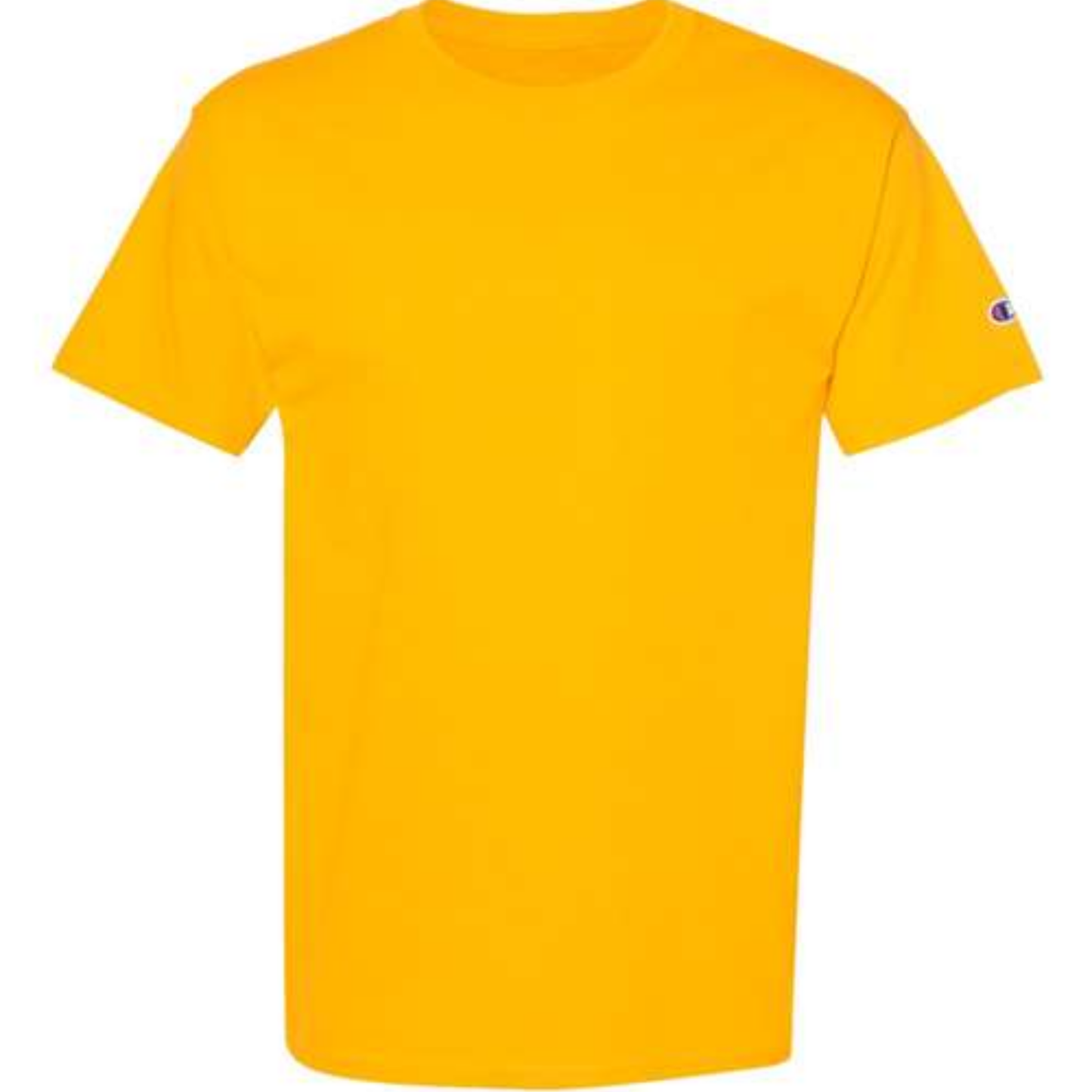 T425 - Champion Men's Classic T-Shirt