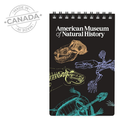 Acorn Notebook #3092 / #3093
