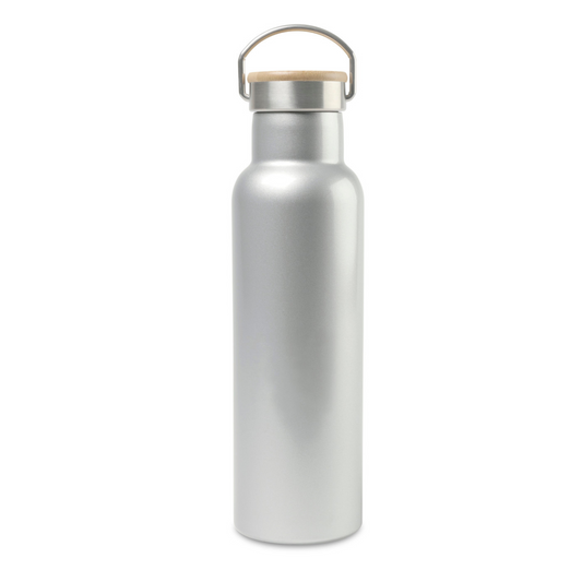 Aviana™ Metallics Double Wall Stainless Steel Bottle - 20 Oz.