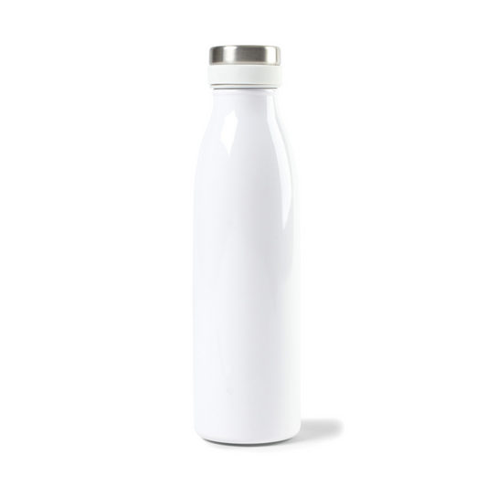 Aviana™ Palmer Double Wall Stainless Bottle - 17 Oz.