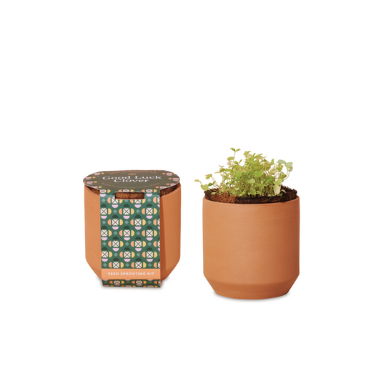 Modern Sprout® Tiny Terracotta Grow Kit Good Luck Clover